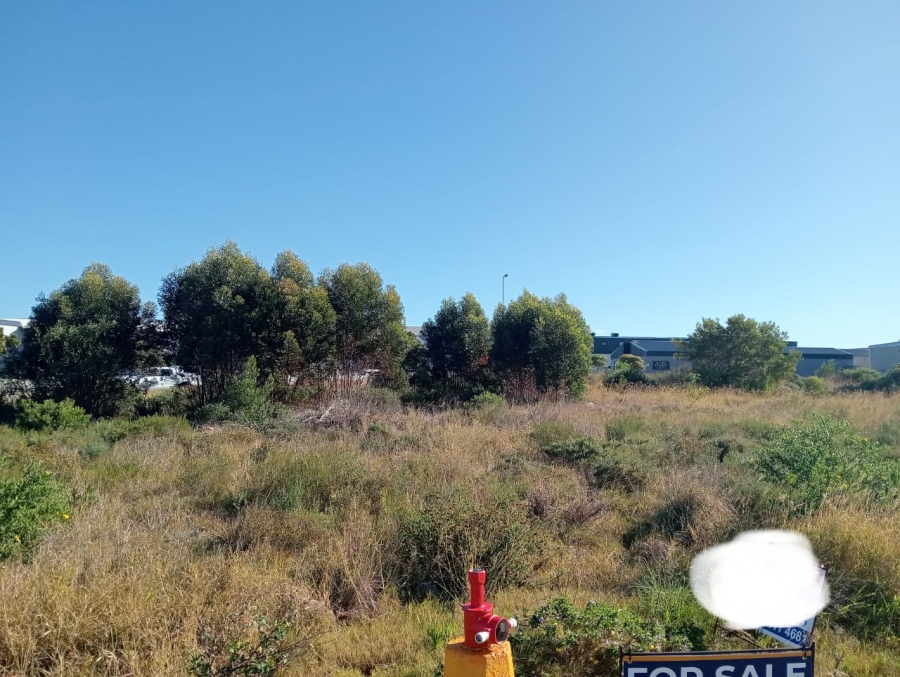0 Bedroom Property for Sale in Fountains Estate Eastern Cape
